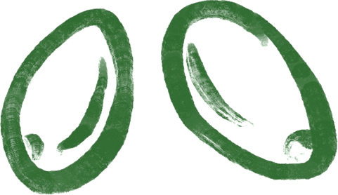 Oliven